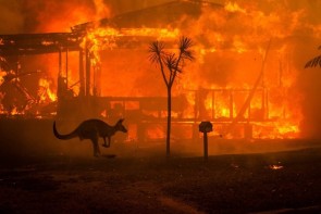 Gamers are Raising Funds to Help Battle Australian Bush Fires